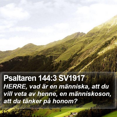 Psaltaren 144:3 SV1917 Bible Verse Image