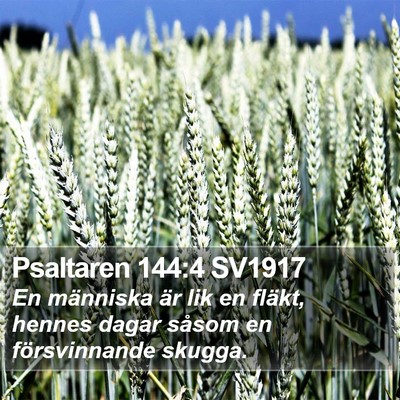 Psaltaren 144:4 SV1917 Bible Verse Image