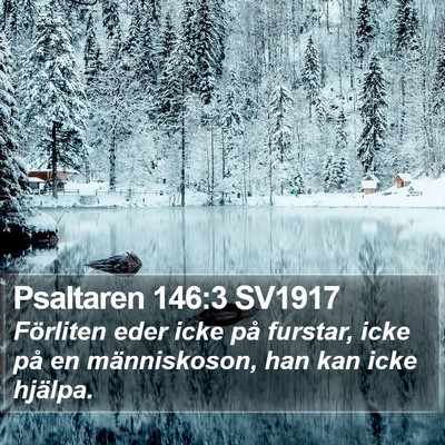 Psaltaren 146:3 SV1917 Bible Verse Image