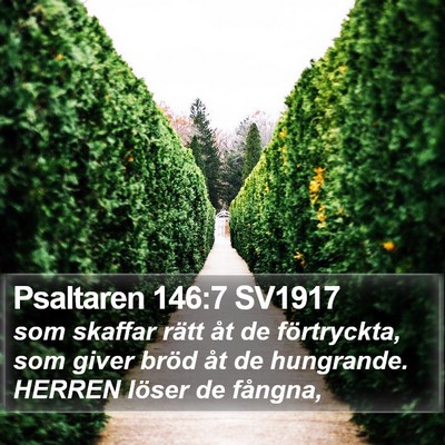 Psaltaren 146:7 SV1917 Bible Verse Image