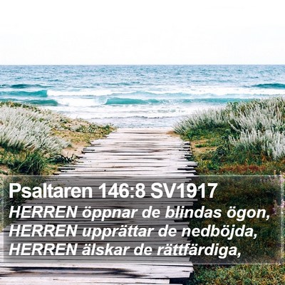 Psaltaren 146:8 SV1917 Bible Verse Image