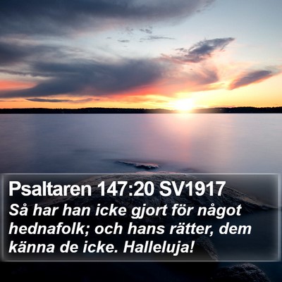 Psaltaren 147:20 SV1917 Bible Verse Image