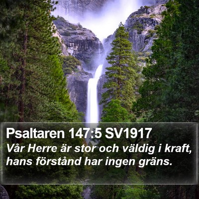 Psaltaren 147:5 SV1917 Bible Verse Image