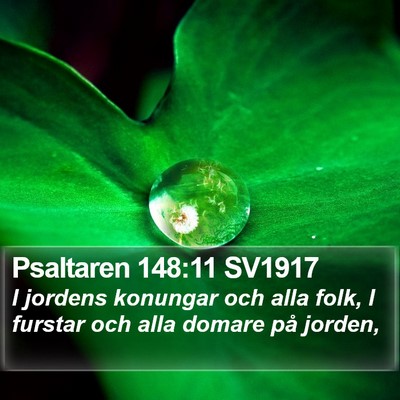 Psaltaren 148:11 SV1917 Bible Verse Image