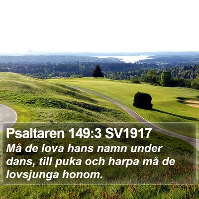 Psaltaren 149:3 SV1917 Bible Verse Image