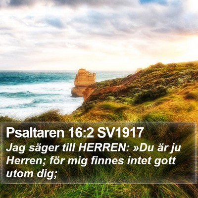Psaltaren 16:2 SV1917 Bible Verse Image