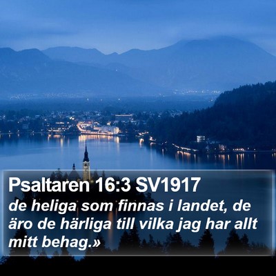 Psaltaren 16:3 SV1917 Bible Verse Image
