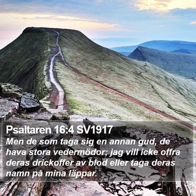Psaltaren 16:4 SV1917 Bible Verse Image