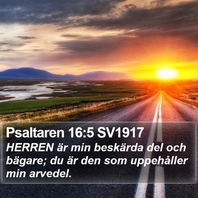 Psaltaren 16:5 SV1917 Bible Verse Image