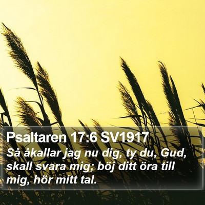 Psaltaren 17:6 SV1917 Bible Verse Image