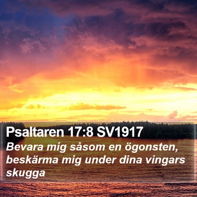 Psaltaren 17:8 SV1917 Bible Verse Image