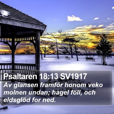 Psaltaren 18:13 SV1917 Bible Verse Image