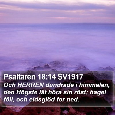 Psaltaren 18:14 SV1917 Bible Verse Image