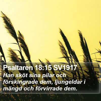 Psaltaren 18:15 SV1917 Bible Verse Image
