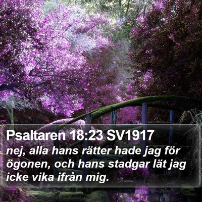 Psaltaren 18:23 SV1917 Bible Verse Image