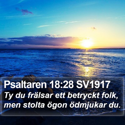 Psaltaren 18:28 SV1917 Bible Verse Image