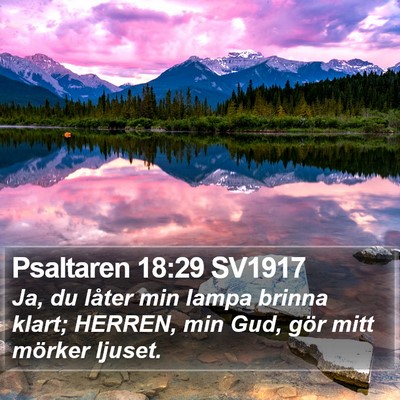 Psaltaren 18:29 SV1917 Bible Verse Image