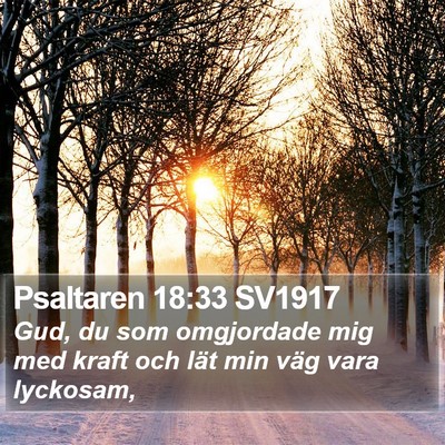 Psaltaren 18:33 SV1917 Bible Verse Image
