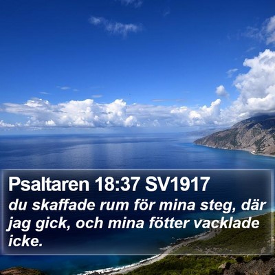 Psaltaren 18:37 SV1917 Bible Verse Image