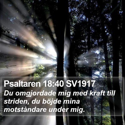 Psaltaren 18:40 SV1917 Bible Verse Image