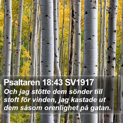 Psaltaren 18:43 SV1917 Bible Verse Image