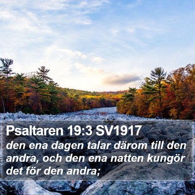 Psaltaren 19:3 SV1917 Bible Verse Image
