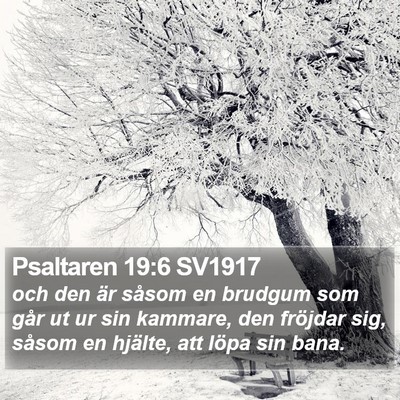 Psaltaren 19:6 SV1917 Bible Verse Image