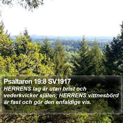 Psaltaren 19:8 SV1917 Bible Verse Image