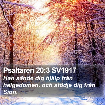 Psaltaren 20:3 SV1917 Bible Verse Image