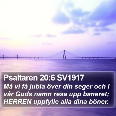 Psaltaren 20:6 SV1917 Bible Verse Image
