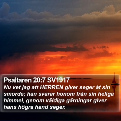 Psaltaren 20:7 SV1917 Bible Verse Image