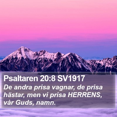Psaltaren 20:8 SV1917 Bible Verse Image