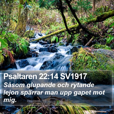 Psaltaren 22:14 SV1917 Bible Verse Image