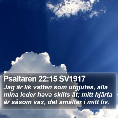 Psaltaren 22:15 SV1917 Bible Verse Image