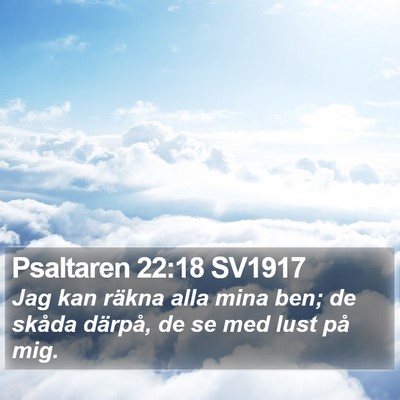 Psaltaren 22:18 SV1917 Bible Verse Image