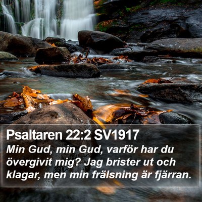 Psaltaren 22:2 SV1917 Bible Verse Image
