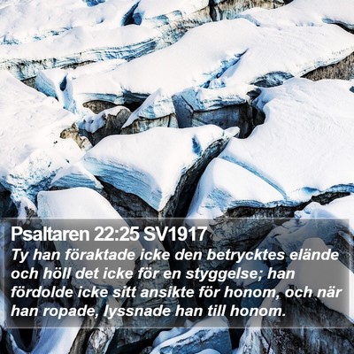 Psaltaren 22:25 SV1917 Bible Verse Image