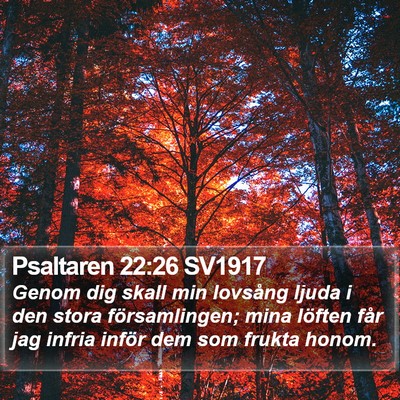 Psaltaren 22:26 SV1917 Bible Verse Image