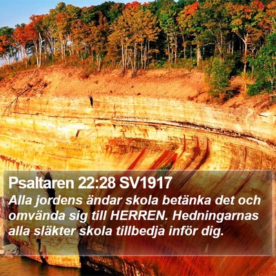 Psaltaren 22:28 SV1917 Bible Verse Image