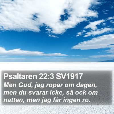 Psaltaren 22:3 SV1917 Bible Verse Image