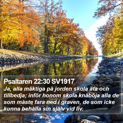 Psaltaren 22:30 SV1917 Bible Verse Image