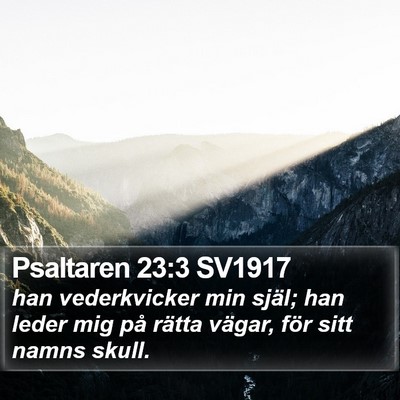 Psaltaren 23:3 SV1917 Bible Verse Image