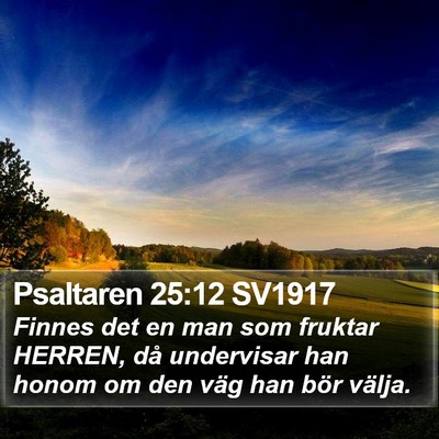 Psaltaren 25:12 SV1917 Bible Verse Image