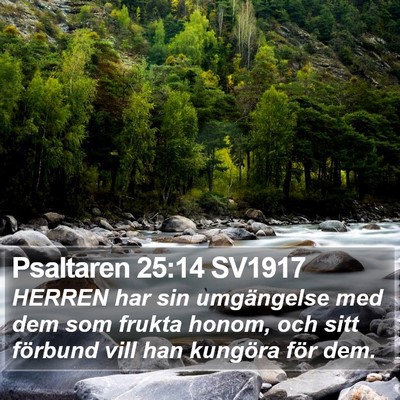 Psaltaren 25:14 SV1917 Bible Verse Image