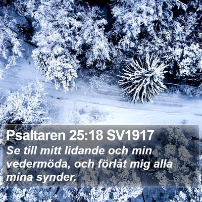Psaltaren 25:18 SV1917 Bible Verse Image