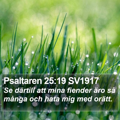Psaltaren 25:19 SV1917 Bible Verse Image