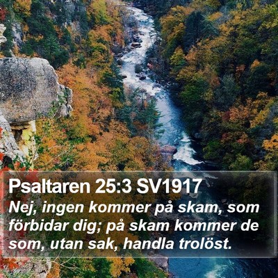 Psaltaren 25:3 SV1917 Bible Verse Image