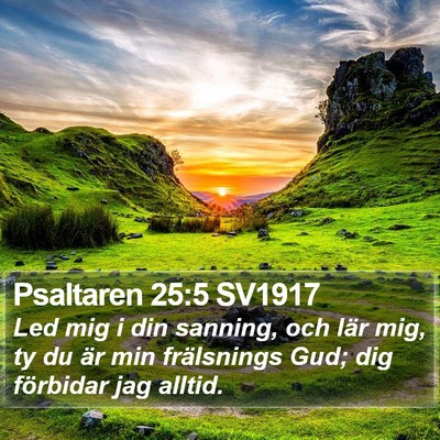 Psaltaren 25:5 SV1917 Bible Verse Image