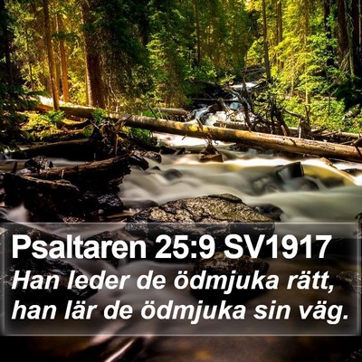 Psaltaren 25:9 SV1917 Bible Verse Image