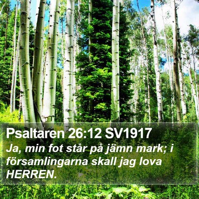 Psaltaren 26:12 SV1917 Bible Verse Image